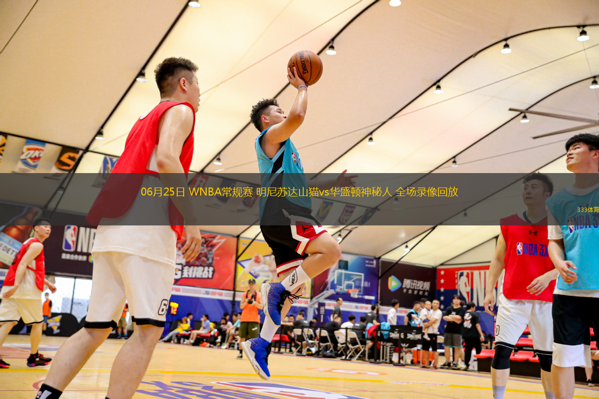06月25日 WNBA常規(guī)賽 明尼蘇達山貓vs華盛頓神秘人 全場錄像回放