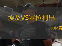 埃及VS塞拉利昂