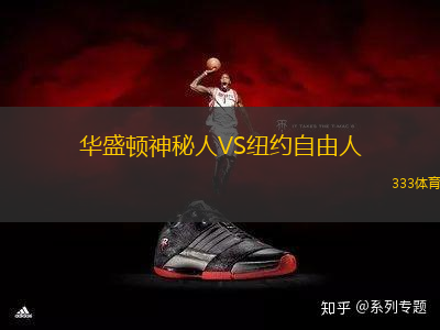 華盛頓神秘人VS紐約自由人